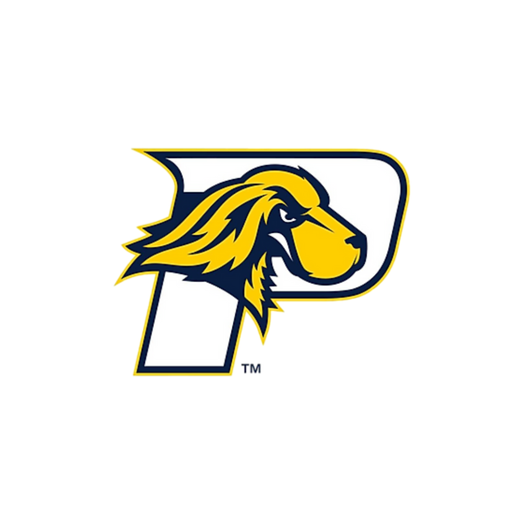 PACE UNIVERSITY