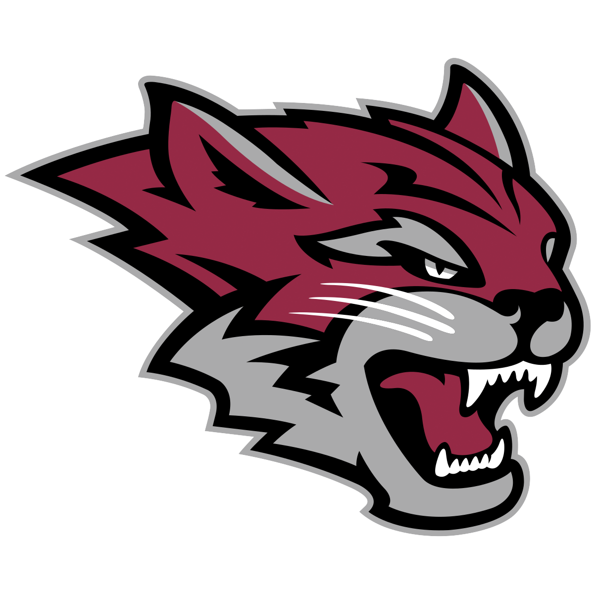 Chico State Wildcats Apparel