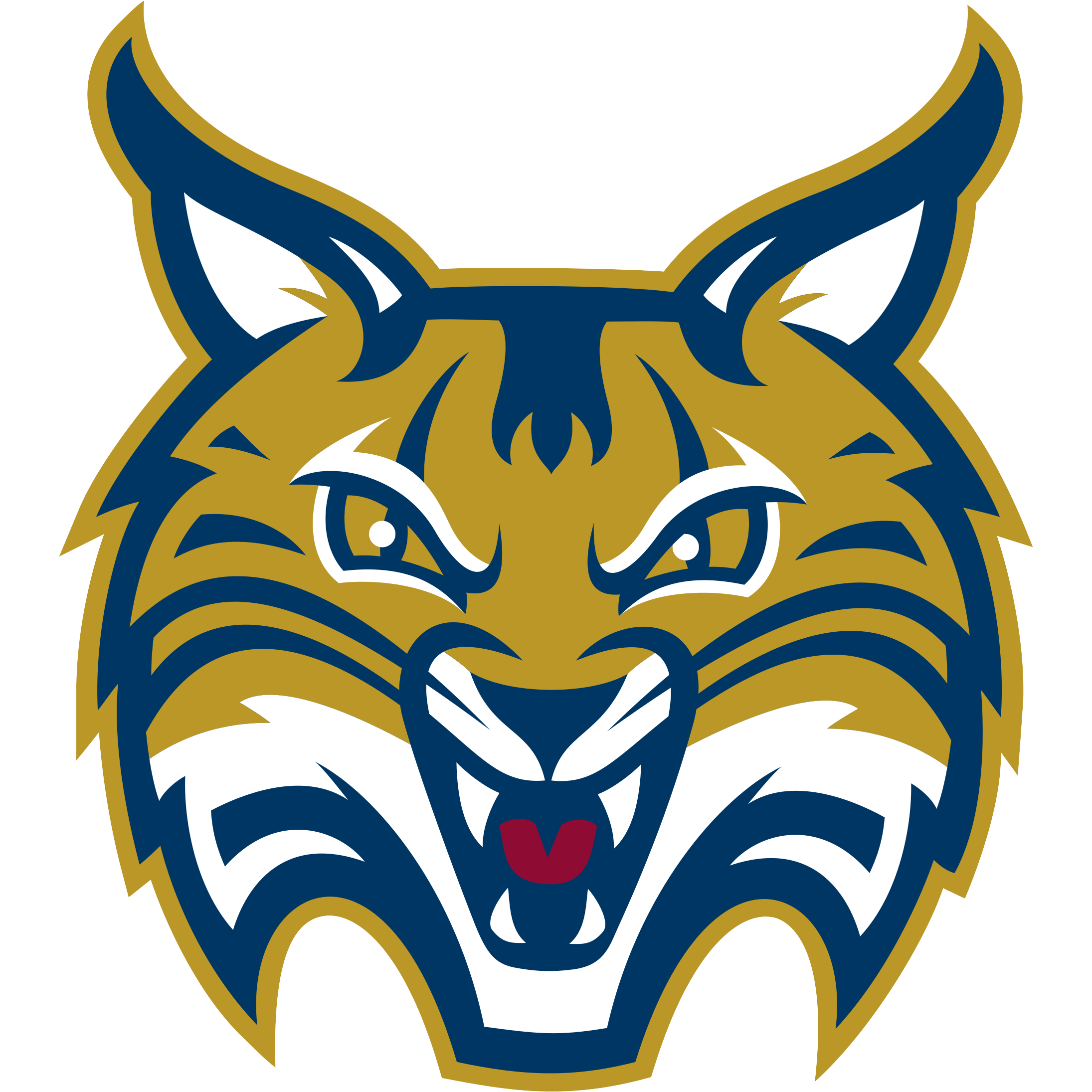Quinnipiac University Bobcats Apparel