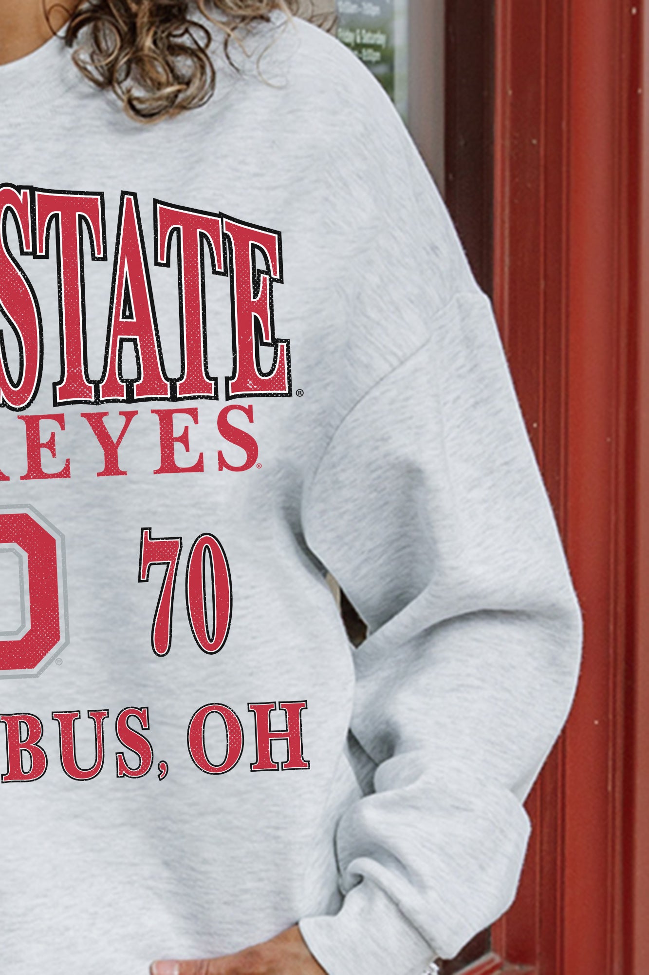 Ash Grey Ohio State Buckeyes Allegiance Fleece Pullover - Close-Up Scarlet and Grey Graphic Detail | Gameday Couture - SOHO